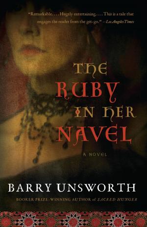 Cover of the book The Ruby in Her Navel by David Aboulafia