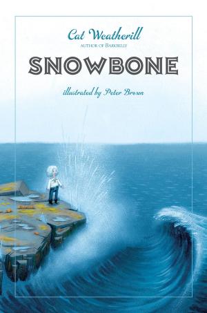 Cover of the book Snowbone by Joan Lowery Nixon