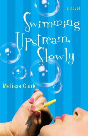 Cover of the book Swimming Upstream, Slowly by Joy Bassetti Kruger
