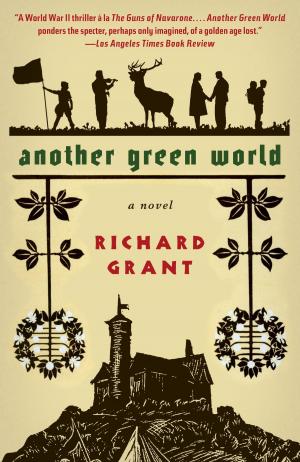 bigCover of the book Another Green World by 