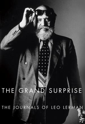 Cover of the book The Grand Surprise by Shelby Hearon