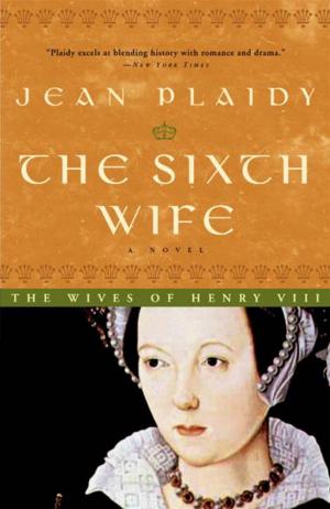 Book cover of The Sixth Wife