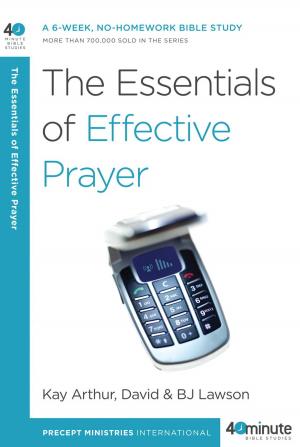 Cover of the book The Essentials of Effective Prayer by Chris Tiegreen
