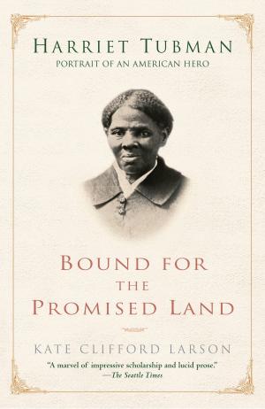 Cover of the book Bound for the Promised Land by Diana Gabaldon