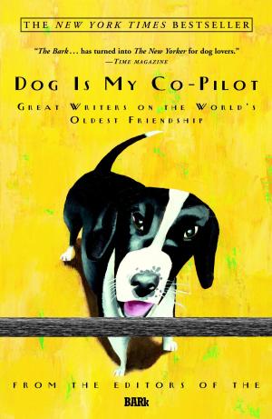 Cover of the book Dog Is My Co-Pilot by Anthony Portokaloglou
