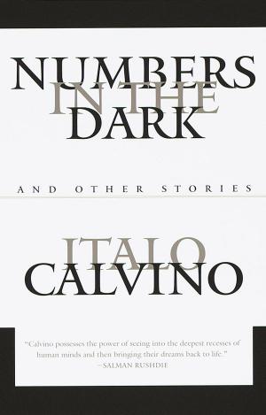 Book cover of Numbers in the Dark