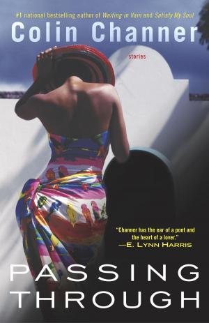 Cover of the book Passing Through by Mark Seal