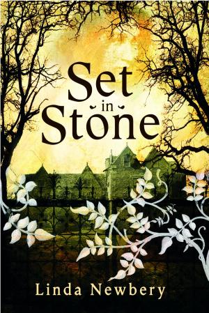 Cover of the book Set In Stone by Mara Rockliff
