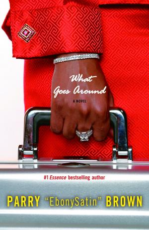 Cover of the book What Goes Around by Alice Borchardt