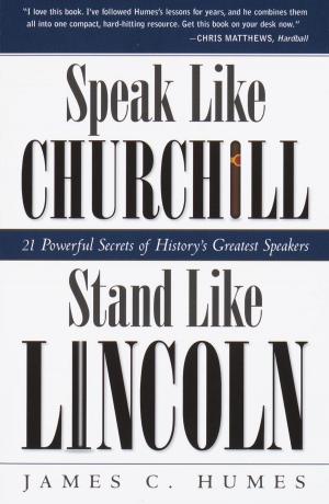 Cover of the book Speak Like Churchill, Stand Like Lincoln by Linda Burke