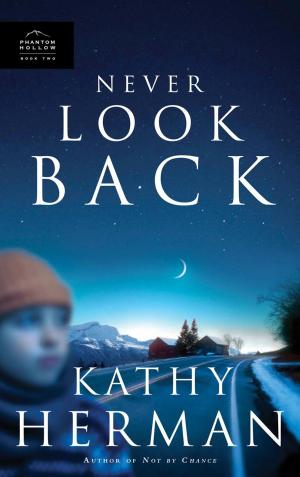 Cover of the book Never Look Back by Jarrett Stephens