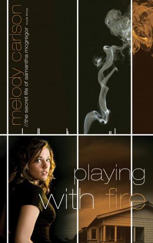 Cover of the book Playing with Fire by J.E.B. Spredemann