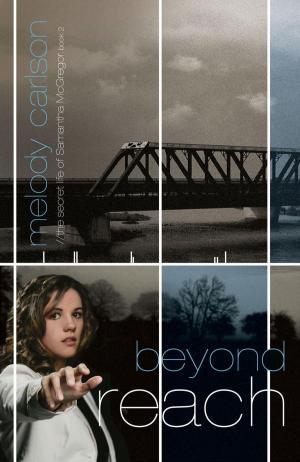 Cover of the book Beyond Reach by Katherine Koonce
