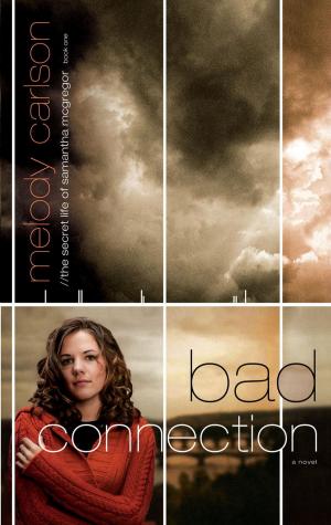 Cover of the book Bad Connection by Karen Dockrey