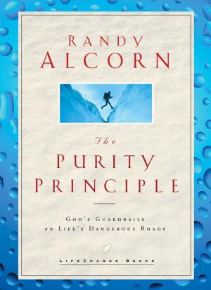 Cover of the book The Purity Principle by Brooke McGlothlin