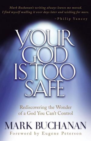 Cover of the book Your God is Too Safe by Damian Mogavero, Joseph D'Agnese