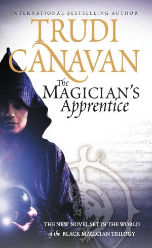Cover of the book The Magician's Apprentice by Kristen Painter