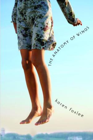 Cover of the book The Anatomy of Wings by Marilyn Kaye