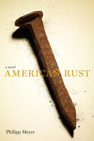 Cover of the book American Rust by Iris Johansen