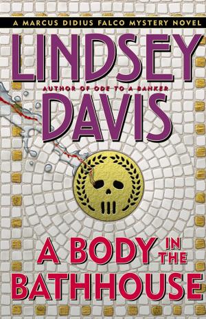 Cover of the book A Body in the Bathhouse by Jami Bernard