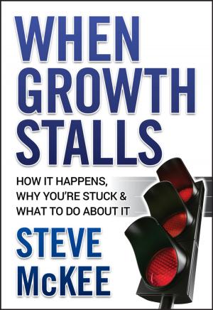 Book cover of When Growth Stalls