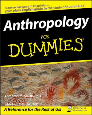 Cover of the book Anthropology For Dummies by David B. Rivers, Gregory A. Dahlem