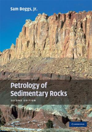 Cover of the book Petrology of Sedimentary Rocks by Dr Rik van Nieuwenhove