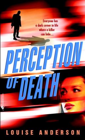 Cover of the book Perception of Death by Terry Brooks