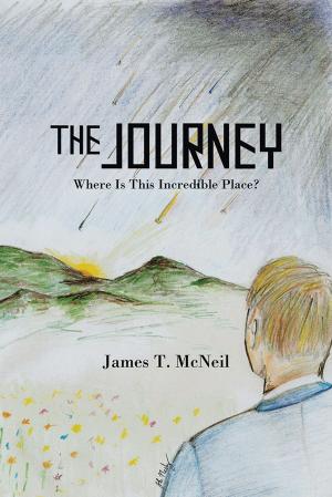 Cover of the book The Journey by Jack H. Smith
