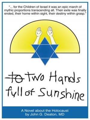 Cover of the book Two Hands Full of Sunshine (Volume 2) by Frank Guttman