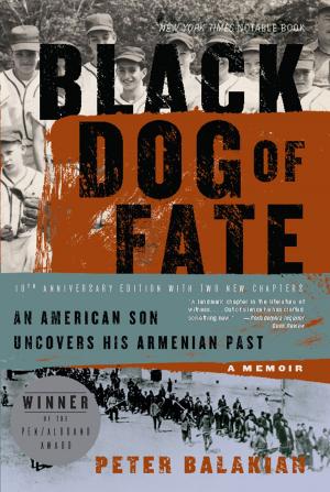 Cover of the book Black Dog of Fate by Peter Wallison