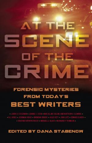 Cover of the book At the Scene of the Crime by Matt Wilkinson