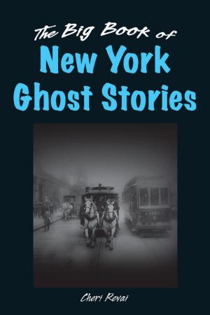 Book cover of The Big Book of New York Ghost Stories