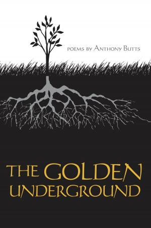 Cover of the book The Golden Underground by Stephen Dobyns