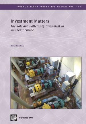 Cover of the book Investment Matters: The Role And Patterns Of Investment In Southeast Europe by David Bollier, Silke Helfrich