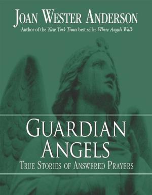 Cover of the book Guardian Angels by Father Kevin O’Brien, SJ
