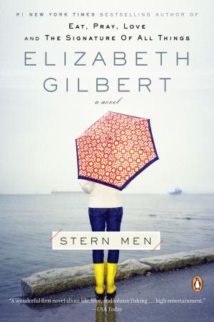 Cover of the book Stern Men by Wesley Ellis