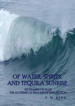 Book cover of Of Water, Spirits, and Tequila Sunrise