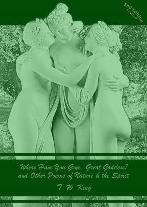 Cover of the book Where Have You Gone, Great Goddess? and Other Poems of Nature & the Spirit (Second Edition, Revised) by Kimberly E.M. Beasley