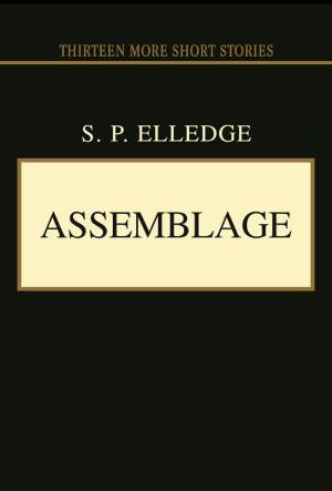 Book cover of Assemblage