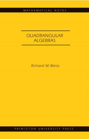 bigCover of the book Quadrangular Algebras. (MN-46) by 
