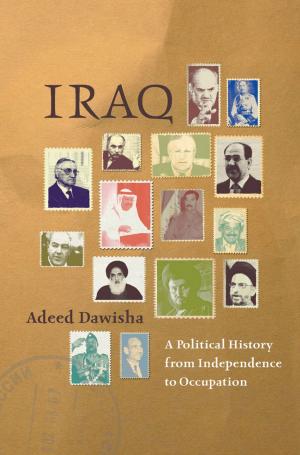 Cover of the book Iraq by Teofilo F. Ruiz