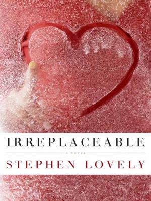Book cover of Irreplaceable