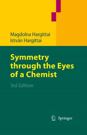 Cover of the book Symmetry through the Eyes of a Chemist by David W. Brooks, Lynne M. Herr, Guy Trainin, Douglas F. Kauffman, Duane F. Shell, Kathleen M. Wilson