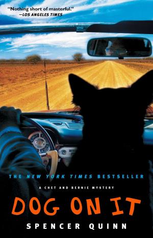 Cover of the book Dog on It by Vickie M. Stringer