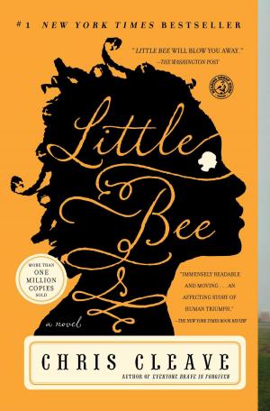 Cover of the book Little Bee by George Sand