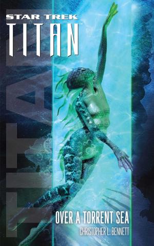 Book cover of Star Trek: Titan #5: Over a Torrent Sea