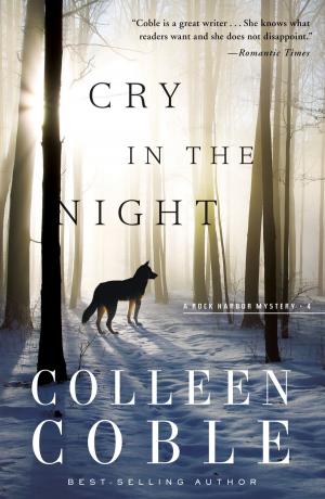 Cover of the book Cry in the Night by Steffanie Holmes