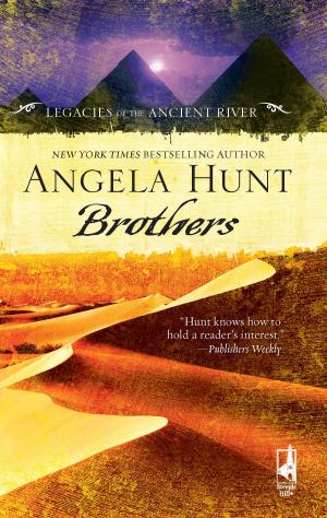 Cover of the book Brothers by Hannah Alexander