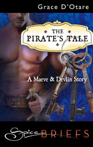 Cover of the book The Pirate's Tale by Alison Tyler